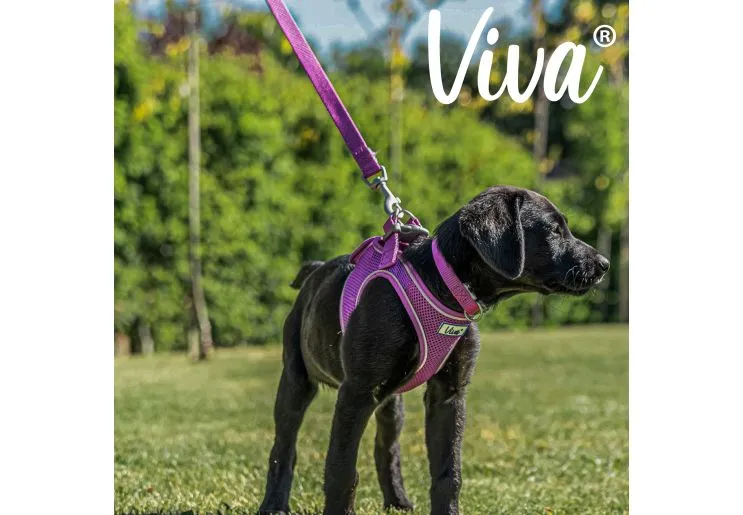 Ancol - Viva Nylon Padded Snap Lead - Purple - 100cm x 19mm (Max 50kg)