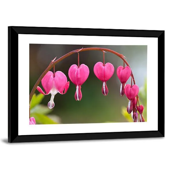 Bleeding Heart Flowers Canvas Wall Art