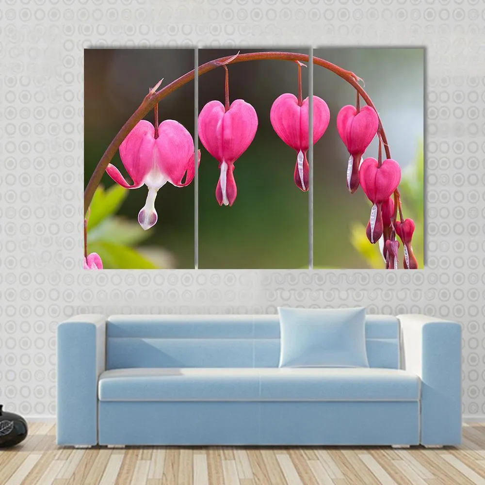 Bleeding Heart Flowers Canvas Wall Art