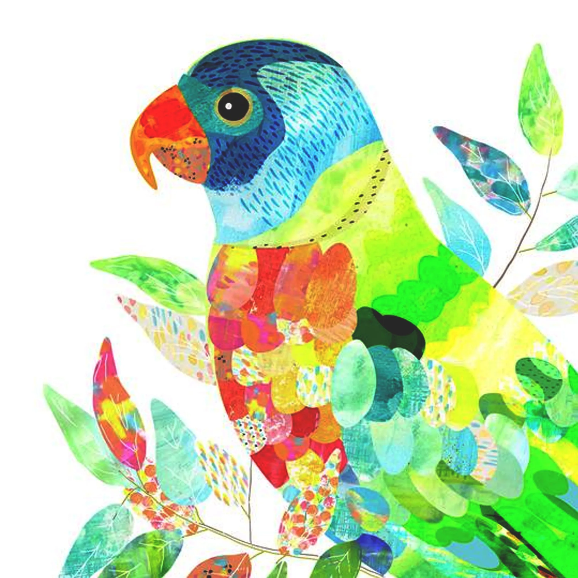 Braw Paper Co. - Rainbow Lorikeet Art Print (tri018)