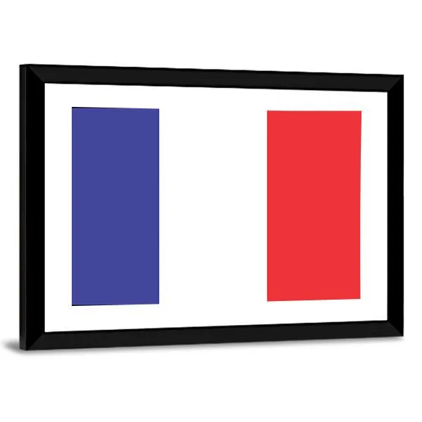 Flag Of France Canvas Wall Art