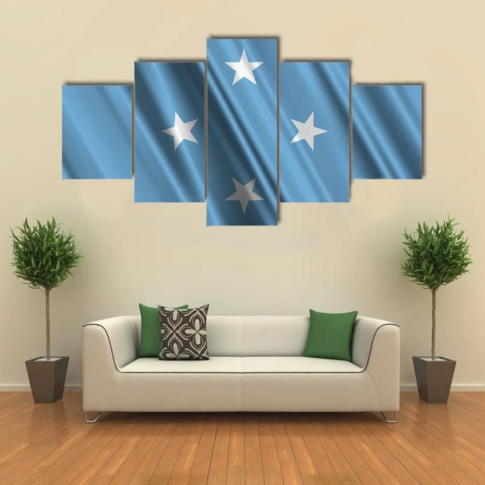 Micronesia Flag Canvas Wall Art