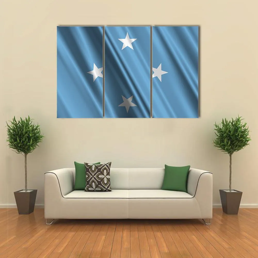 Micronesia Flag Canvas Wall Art