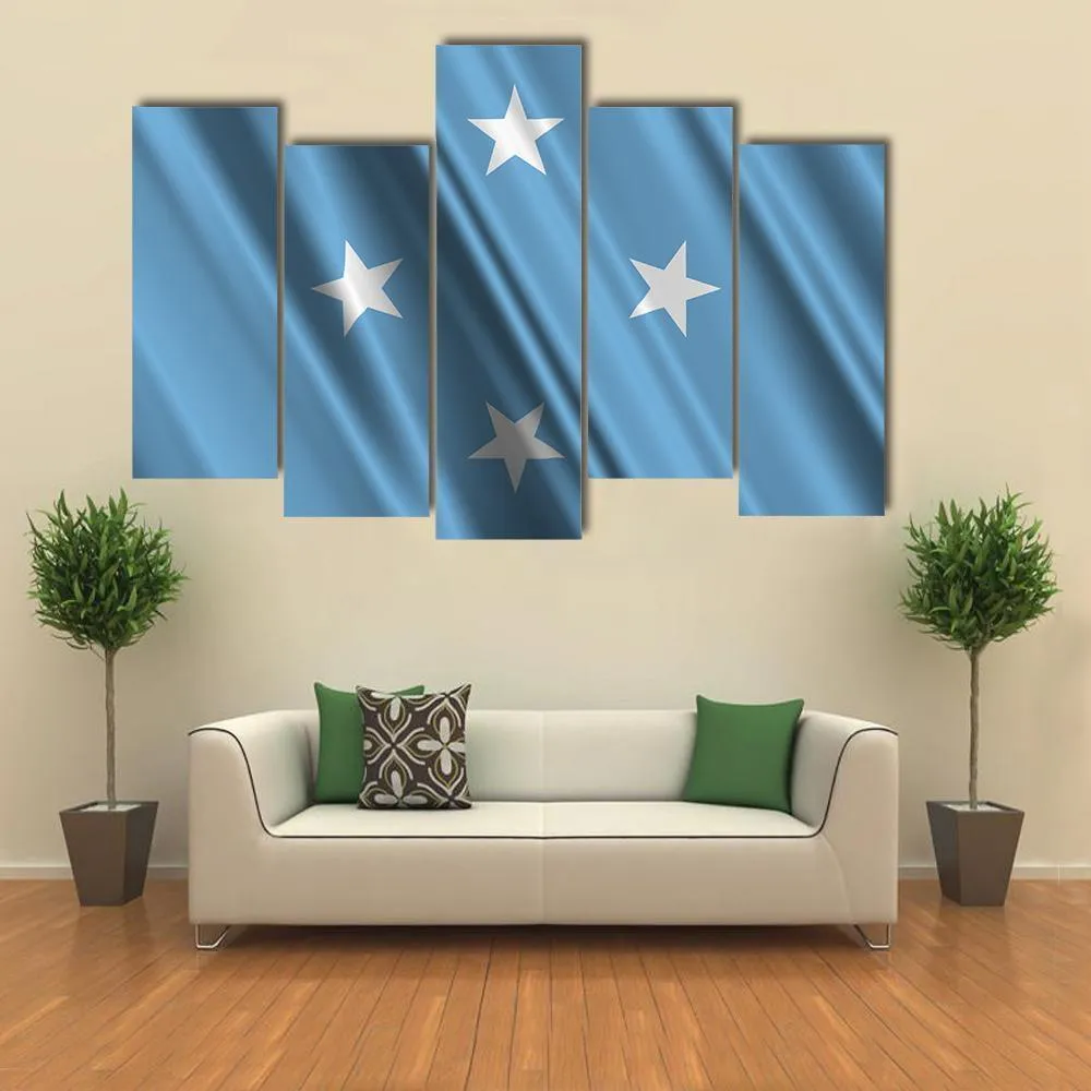 Micronesia Flag Canvas Wall Art