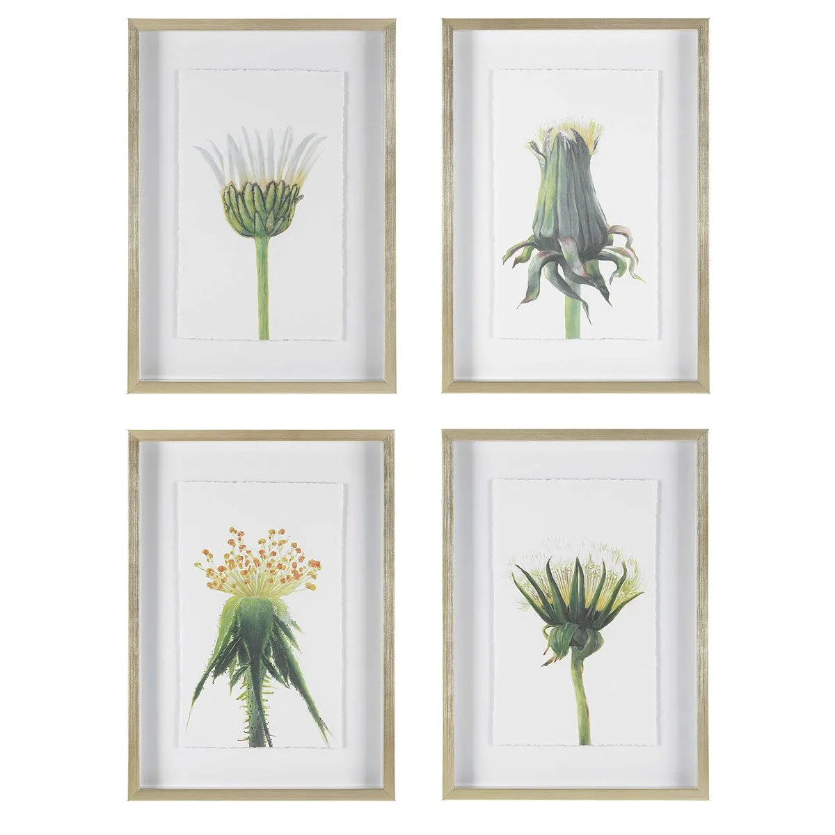 Open Wildflower Framed Print