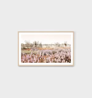 Outback Flowers Print